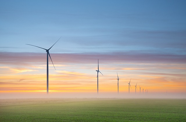 gefuehle-fuehlen_energie Emotionen in der Verarbeitung kosten viel Energie